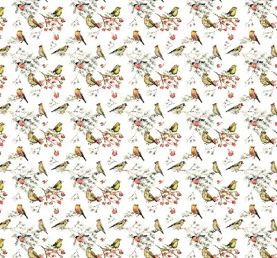 Notranji zatemnilni rolo Ptice na vejah