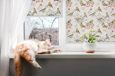 Notranji zatemnilni rolo Ptice na vejah
