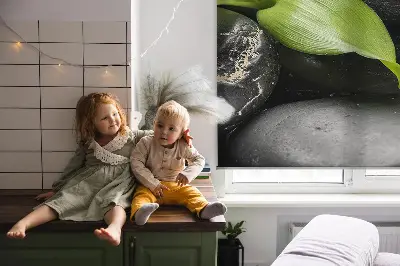 Notranji zatemnilni rolo Orhideja na kamnih