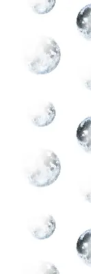 Zatemnilni rolo za balkonska vrata Lune