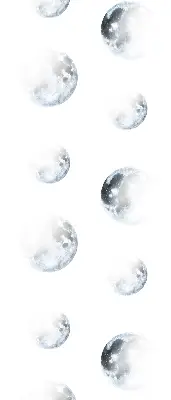 Zatemnilni rolo za balkonska vrata Lune