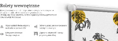 Notranji zatemnilni rolo Sadje in rumeni krogi
