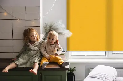 Notranji zatemnilni rolo Oranžna