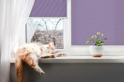 Zatemnilni rolo za okno Vijolična