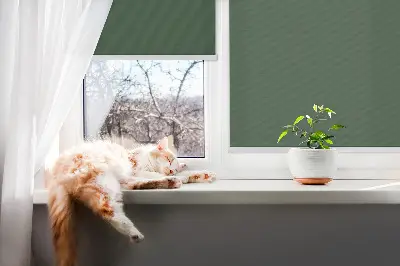 Notranji zatemnilni rolo za okno Zelena