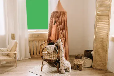 Zatemnilni rolo za okno Zelena