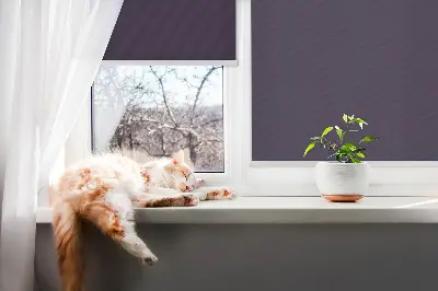 Notranji zatemnilni rolo za okno Črna