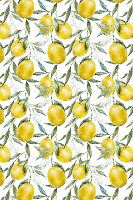 Tkaninski zatemnilni rolo Limone