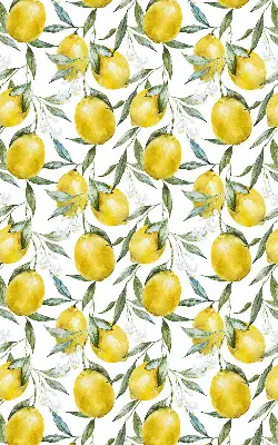 Tkaninski zatemnilni rolo Limone