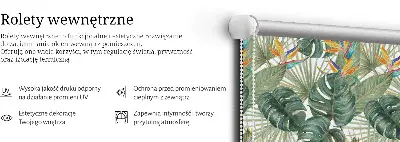 Notranji zatemnilni rolo Tropske rastline