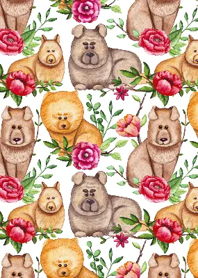 Notranji zatemnilni rolo Psi med rožami