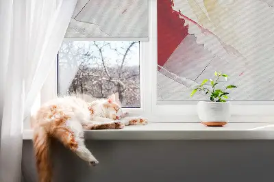 Tkaninski zatemnilni rolo Naslikana slika