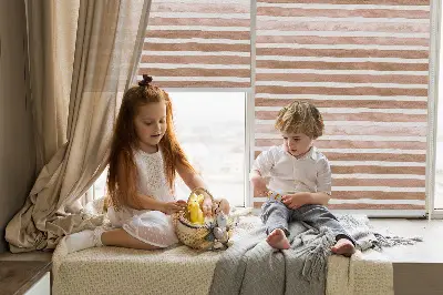 Notranji okenski zatemnilni rolo Rjavo pobarvane črte