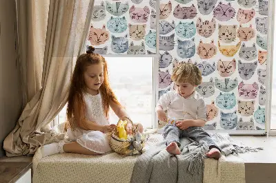 Notranji okenski zatemnilni rolo Barviti mačji obrazi