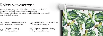 Notranji okenski zatemnilni rolo Tropske rastline