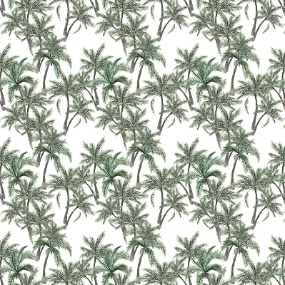 Notranji okenski zatemnilni rolo Palme