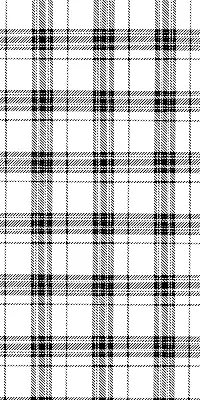 Notranji zatemnilni rolo Sivi tartan