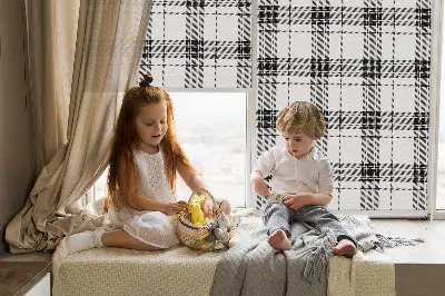 Notranji zatemnilni rolo Sivi tartan