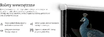 Zatemnilni rolo za okno Patki v zelenem