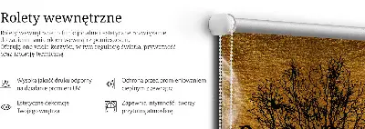 Notranji zatemnilni rolo za okno Jelen ponoči