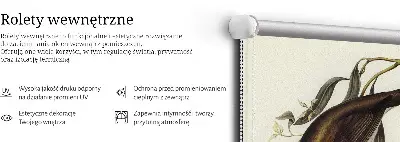 Notranji zatemnilni rolo Ptice na drevesu
