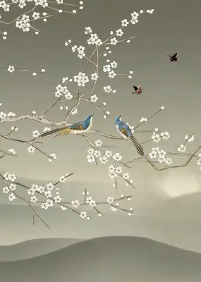 Notranji zatemnilni rolo Ptice na veji
