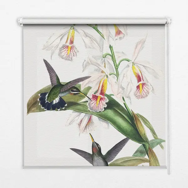 Zatemnilni rolo za okno Ptice na cvetu