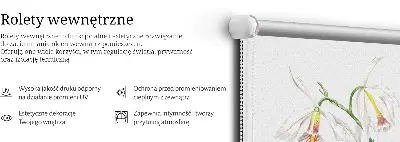 Zatemnilni rolo za okno Ptice na cvetu