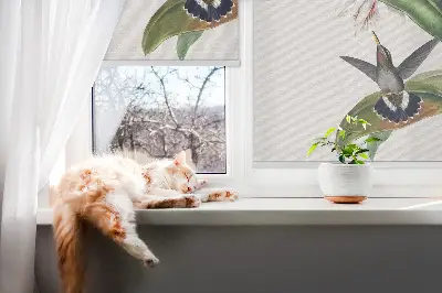 Zatemnilni rolo za okno Ptice na cvetu