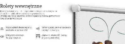 Notranji zatemnilni rolo Ptice na veji