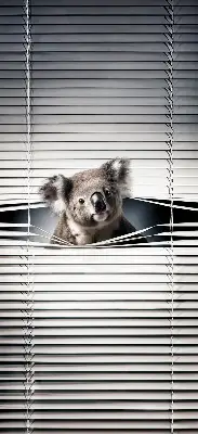 Zatemnilni rolo za okno Koala