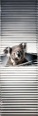 Zatemnilni rolo za okno Koala