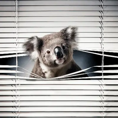 Zatemnilni rolo za okno Koala