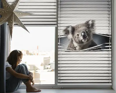 Zatemnilni rolo za okno Koala