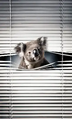 Zatemnilni rolo za okno Koala