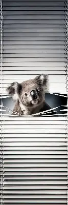 Zatemnilni rolo za okno Koala