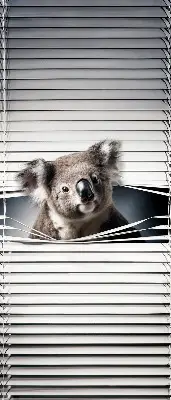 Zatemnilni rolo za okno Koala