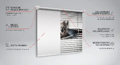 Zatemnilni rolo za okno Koala
