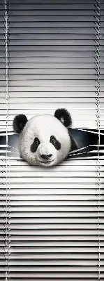 Notranji zatemnilni rolo za okno Panda