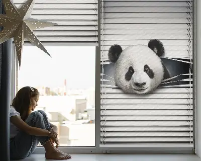 Notranji zatemnilni rolo za okno Panda
