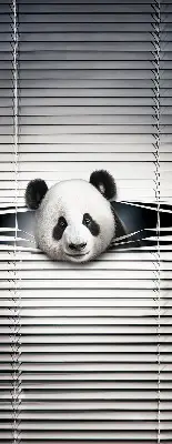 Notranji zatemnilni rolo za okno Panda