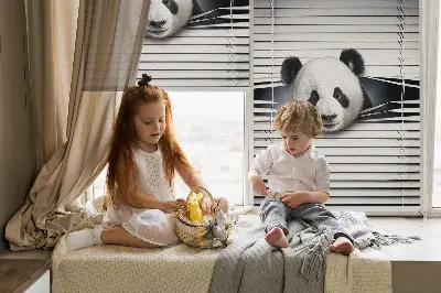 Notranji zatemnilni rolo za okno Panda