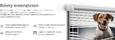 Tkaninski zatemnilni rolo Pes
