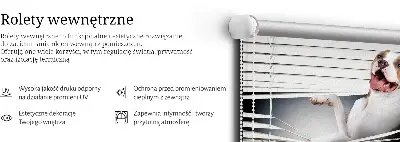 Zatemnilni rolo za okno Pes