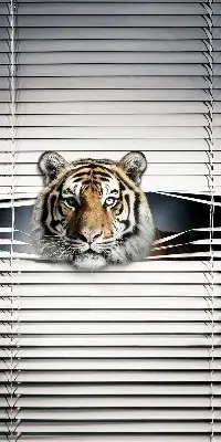 Zatemnilni rolo za balkonska vrata Tiger