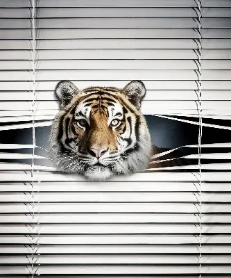 Zatemnilni rolo za balkonska vrata Tiger