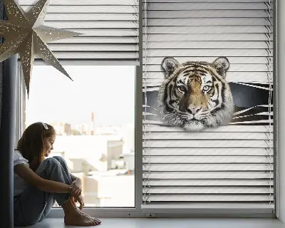 Zatemnilni rolo za balkonska vrata Tiger