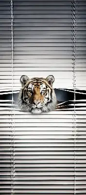 Zatemnilni rolo za balkonska vrata Tiger