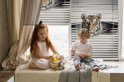 Zatemnilni rolo za balkonska vrata Tiger