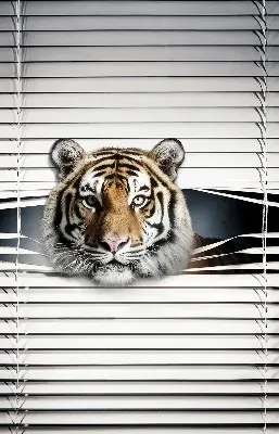 Zatemnilni rolo za balkonska vrata Tiger